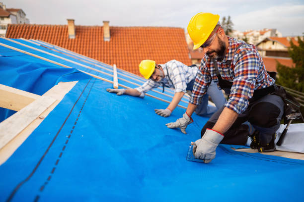 Best Roof Gutter Cleaning  in Hines, OR