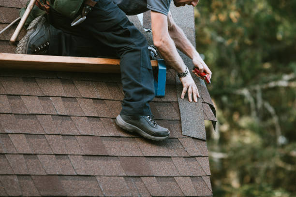 Best Roof Repair Services  in Hines, OR