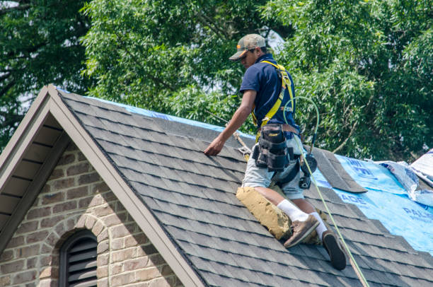 Best Roof Restoration Services  in Hines, OR